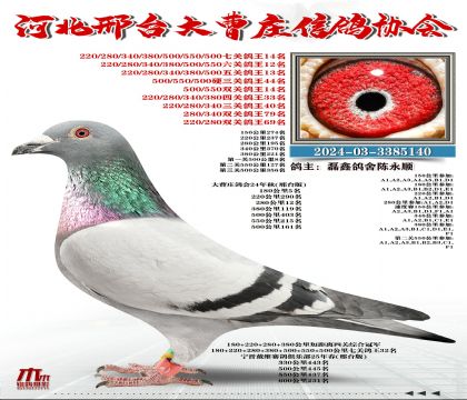 ���P(gu��n)����14��,��һ�P(gu��n)500����8��