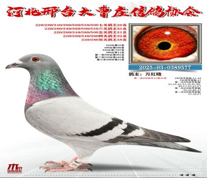 ���P(gu��n)����20��