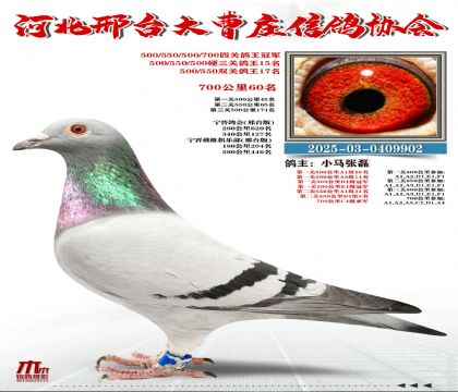 Ӳ���P(gu��n)����15��,700����60��