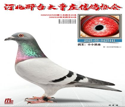 Ӳ���P(gu��n)����28��