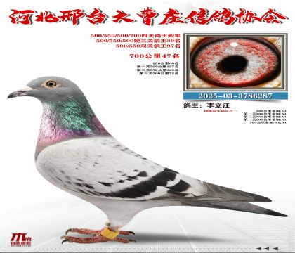 Ӳ���P(gu��n)����39��,700����47��