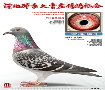 Ӳ���P(gu��n)����50��,700����32��