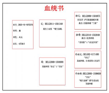 2023-15-1072375Ѫ_����