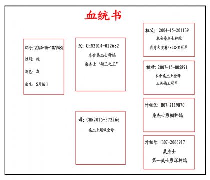 2024-15-1079482Ѫ_����