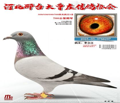 700�����܊