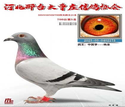 700����5��