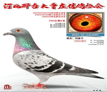 700����6��