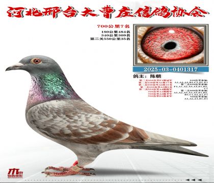 700����7��