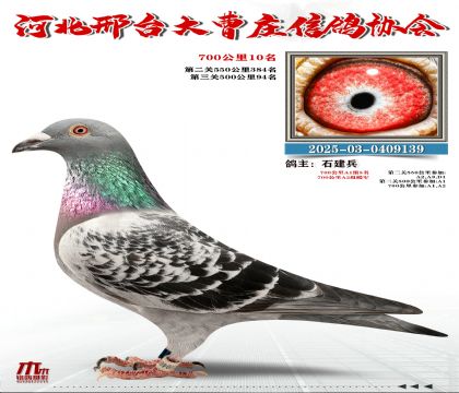 700����10��