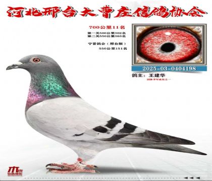 700����11��