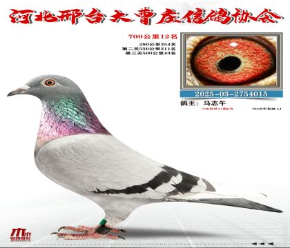 700����12��