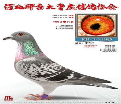 700����17��