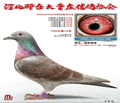 700����18��