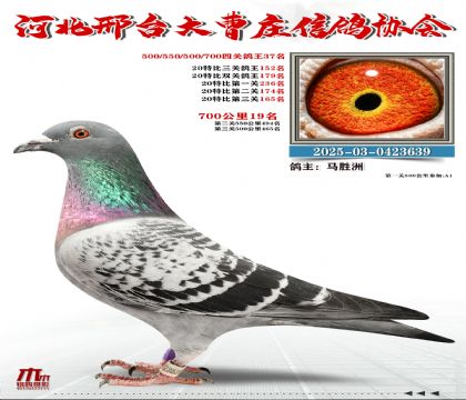 700����19��