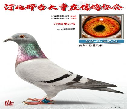 700����20��