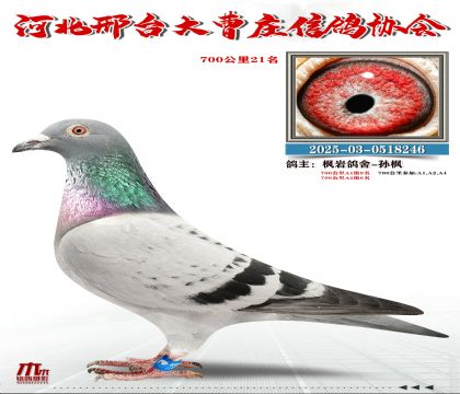 700����21��