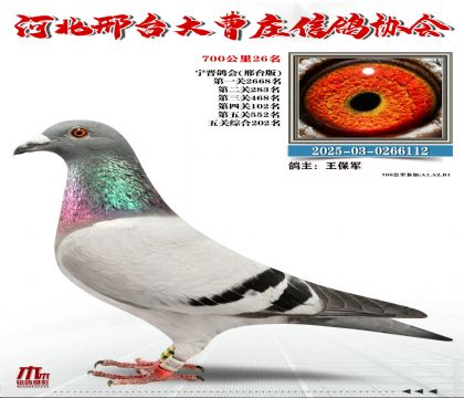 700����26��