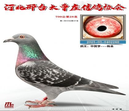 700����28��