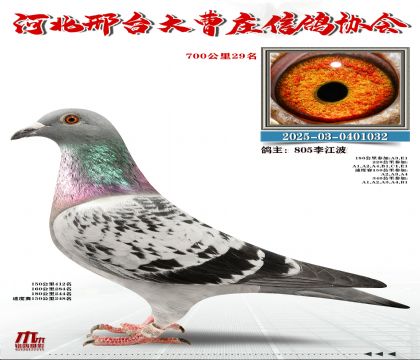 700����29��