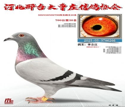 700����30��