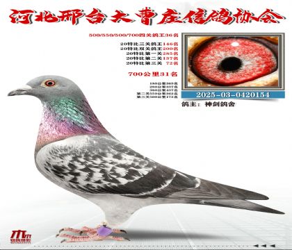 700����31��