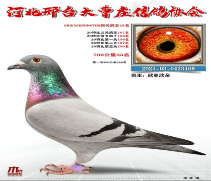 700����33��