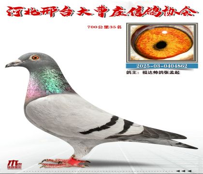 700����35��