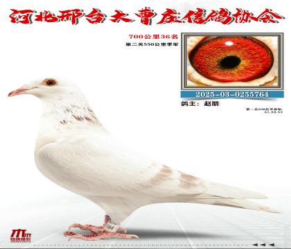 700����36��