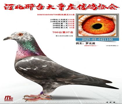 700����37��