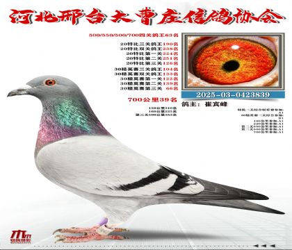 700����39��