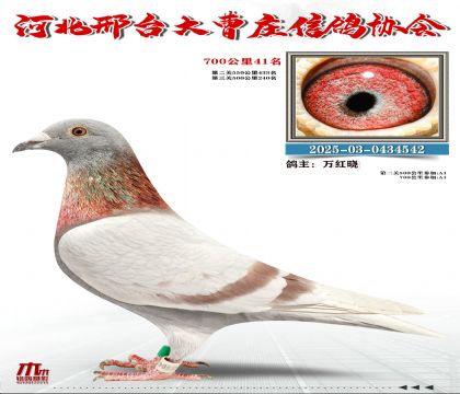 700����41��