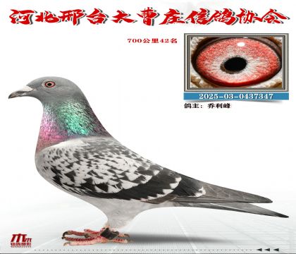 700����42��