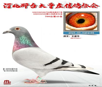 700����43��