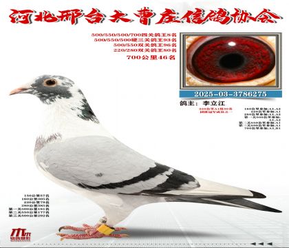 700����46��