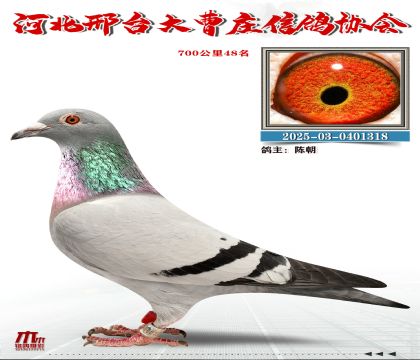 700����48��