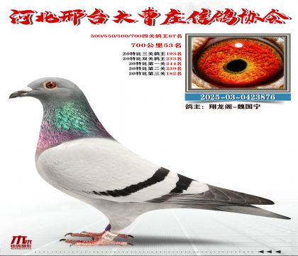 700����53��