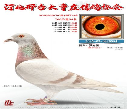 700����54��