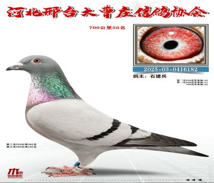 700����56��