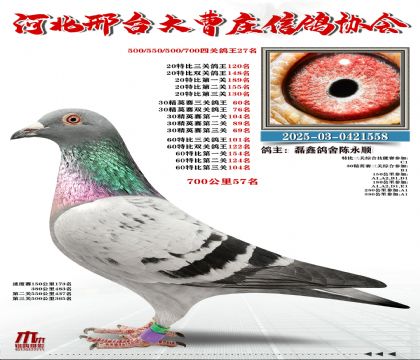 700����57��