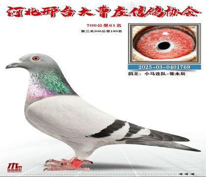 700����61��