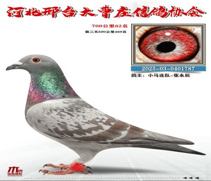 700����62��