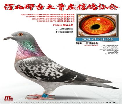 700����64��