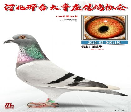 700����65��