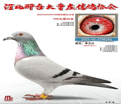 700����66��