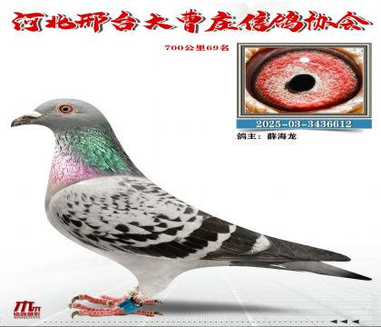 700����69��