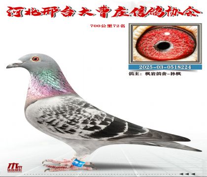 700����72��