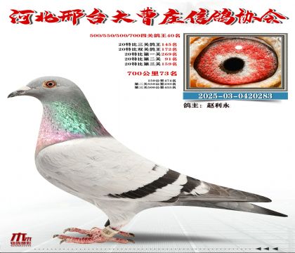 700����73��