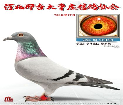 700����77��