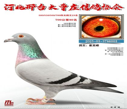 700����80��