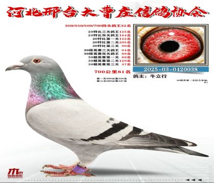 700����81��